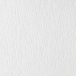 TOP STYLE PAPER TRADITION - 100 g, white